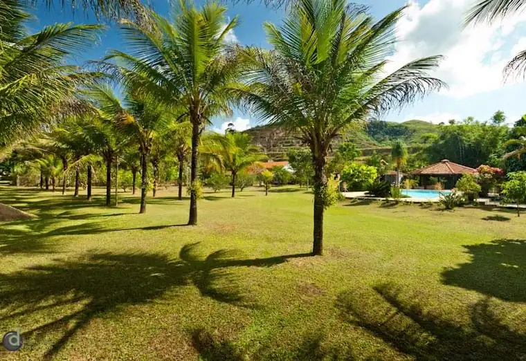 Área verde arborizada de unidade de tratamento da Rede Aurora Mineira em Minas Gerais