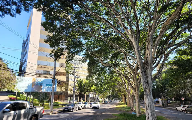 Rua com prédios e árvores ao lado em Belo Horizonte
